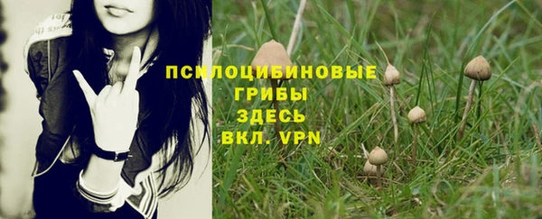 кокс Арсеньев